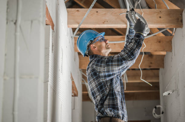 Best Electrical System Inspection  in Ferndale, MI