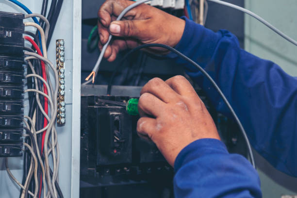 Best Electrical Wiring Services  in Ferndale, MI