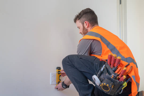 Best Ceiling Fan Installation Electrician  in Ferndale, MI